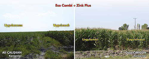 Eco Combi