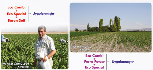 Eco Special