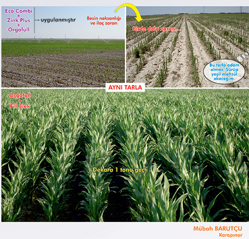 Orga Humic